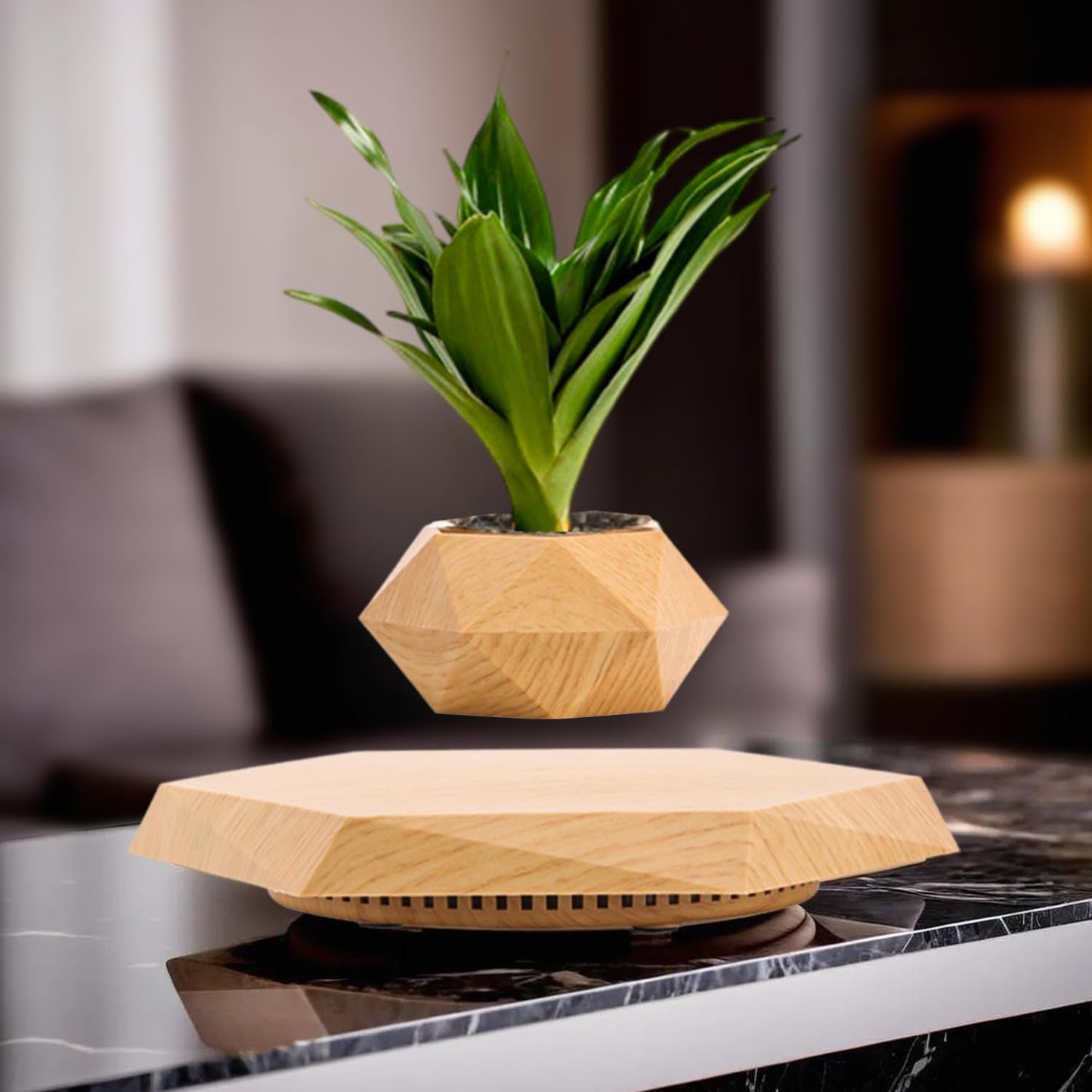 Levitating Plant Pot (Black)