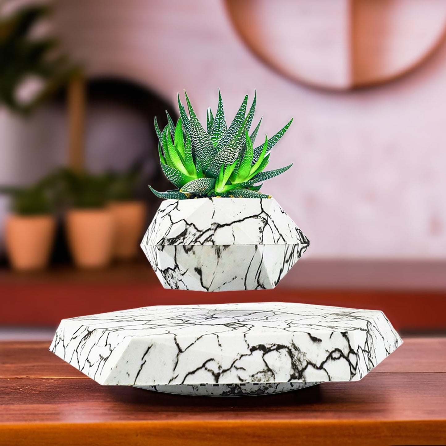 Levitating Plant Pot (Black)
